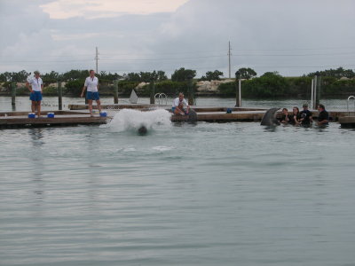 IMG_1824.JPG