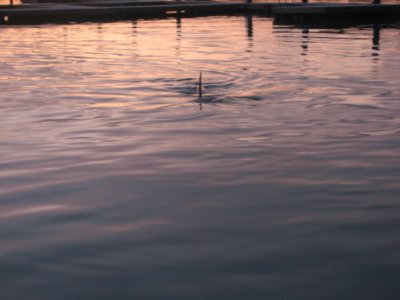 IMG_1830.JPG