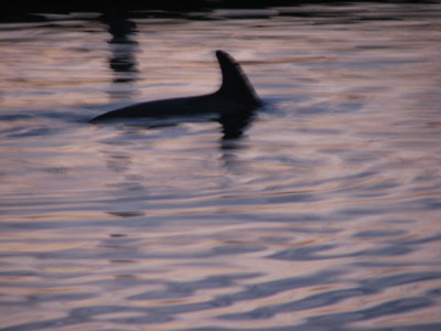 IMG_1832.JPG