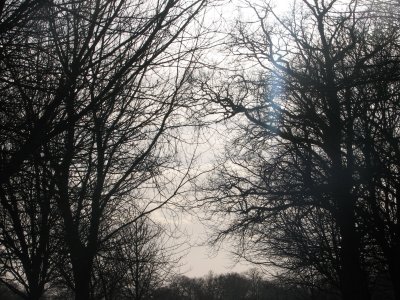 IMG_2309.JPG