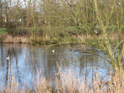 IMG_2344.JPG