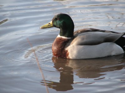 IMG_2350.JPG