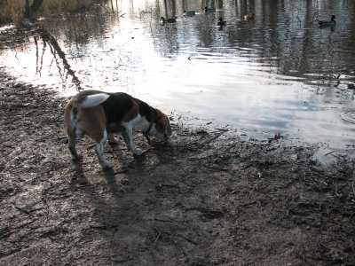 IMG_2362.JPG