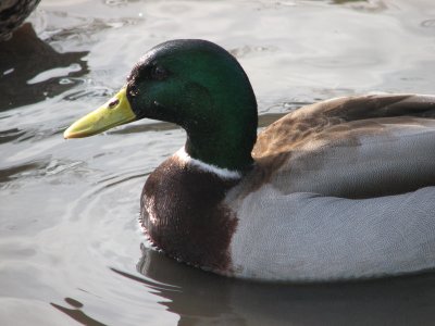 IMG_2380.JPG