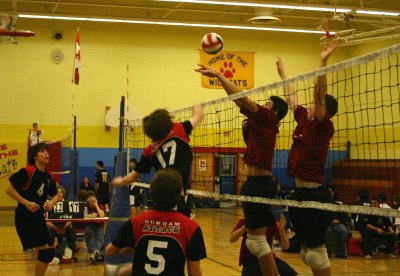 g6/49/682949/3/73387026.Cgw9WbZi.jpg