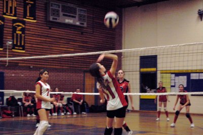 g6/49/682949/3/74621320.9UvaS5UQ.jpg