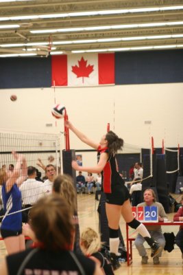g6/49/682949/3/77160382.llym26q3.jpg