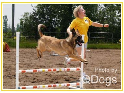 Dawn Chisholm & Gracie