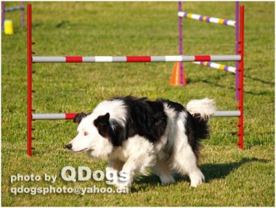 Absolute Agility June 13