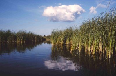 Polder Oostzaan