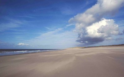 Noordvaarder, Terschelling