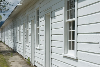 20070615_0020.jpg