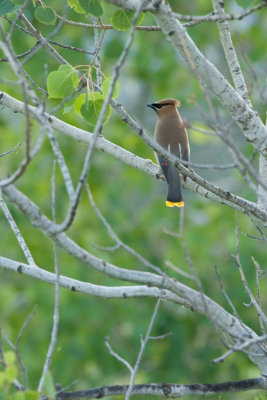 20070627_Lee-Metcalf-NWR_0044.jpg