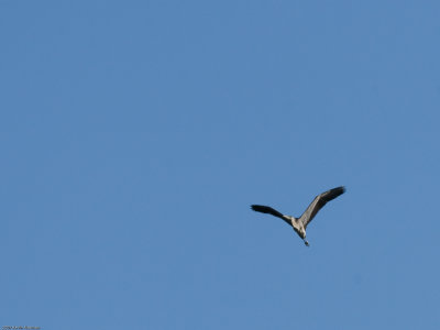 g6/49/749849/3/82141685.fyEmBAK3.jpg