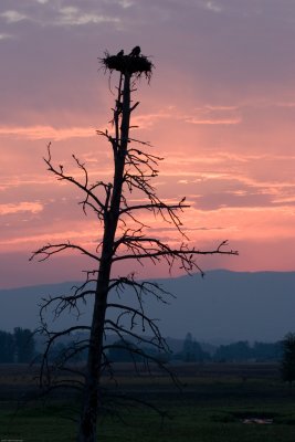 20070803_Lee-Metcalf-NWR_0020-Edit.jpg