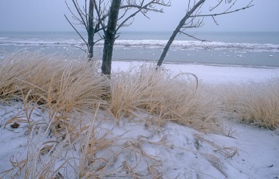 Frozen Shoreline