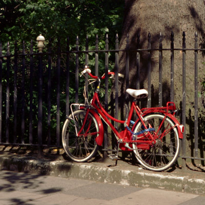 g6/49/766749/3/86570626.j9rZoXTx.jpg