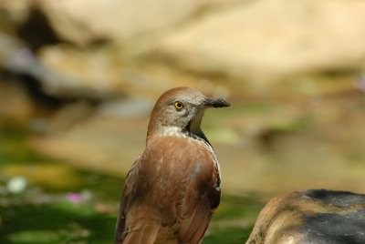 Quintana-0144-2.jpg