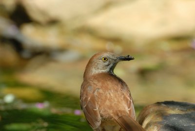 Quintana-0142-2.jpg