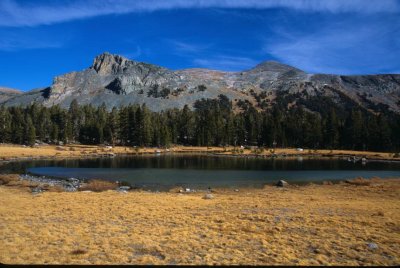 Yosemite061-2.jpg