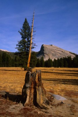 Yosemite074-2.jpg