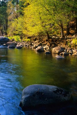 Yosemite118-2.jpg