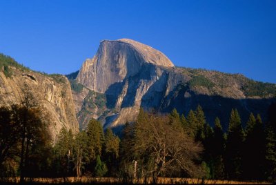 Yosemite127-2.jpg