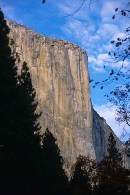 Yosemite204-2.jpg