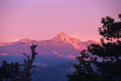 Yosemite287-2.jpg