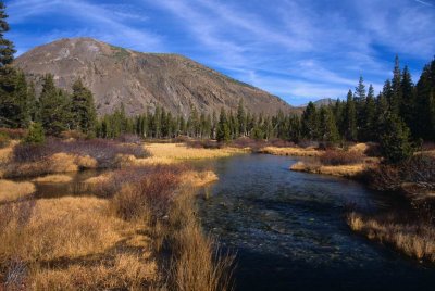 Yosemite394-2.jpg