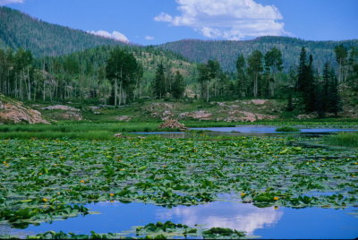 Colorado013-2.jpg