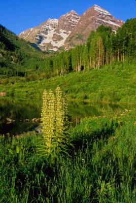 Colorado142-2.jpg