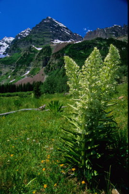 Colorado170-2.jpg