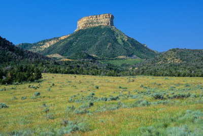 Colorado246-2.jpg