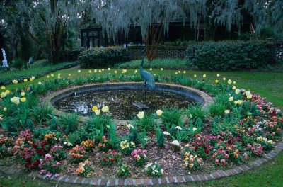 Charleston138-2.jpg