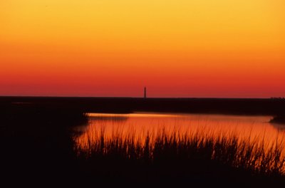 Charleston154-2.jpg