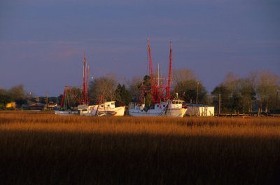 Charleston169-2.jpg