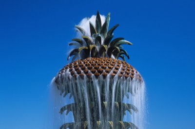 Charleston237-2.jpg
