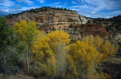 Zion006-2.jpg