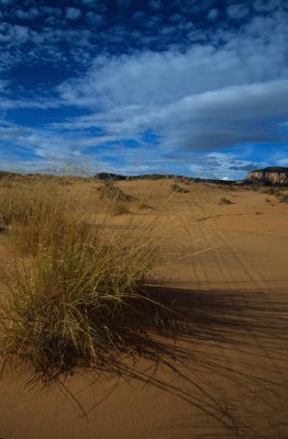 Zion020-2.jpg