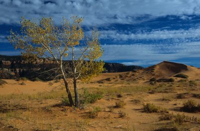 Zion021-2.jpg