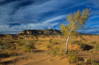 Zion032-2.jpg