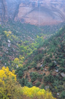 Zion233-2.jpg