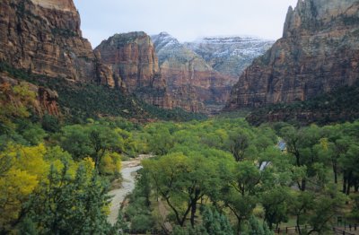 Zion239-2.jpg