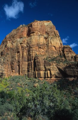 Zion360-2.jpg