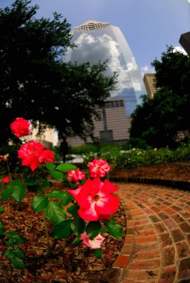 Downtown and Buffalo Bayou0045-2.jpg