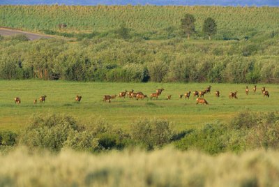 Wyoming407-2.jpg