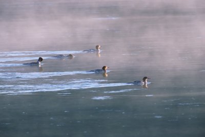 Wyoming633-2.jpg