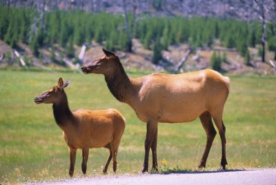 Wyoming890-2.jpg