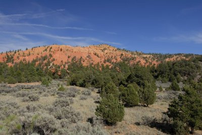 Red Rock Canyon0004.jpg